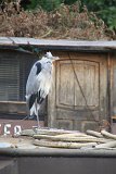 IMG_0859