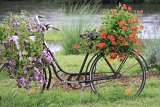 IMG_0863