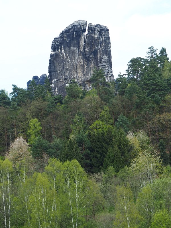 P1010048