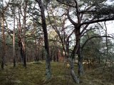 IMG_20180106_113849