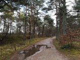 IMG_20180106_113944