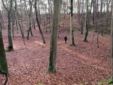 IMG_20180106_114212