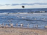 20190106_125942