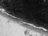 20200803-DJI_0486