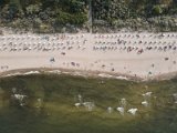20200809-DJI_0616