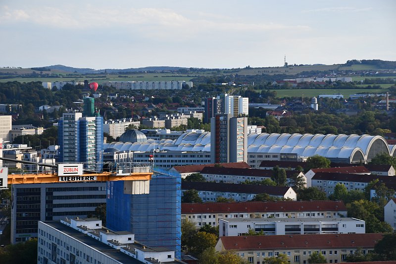 DSC_2006