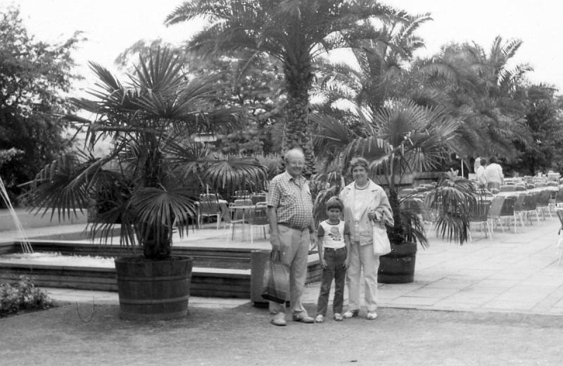 Original image