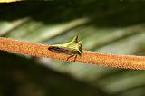 IMG_2611_mod
