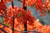 IMG_2790