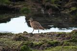 IMG_3525