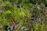 IMG_3576