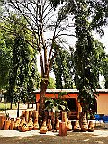 IMG_20200316_101858
