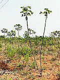 IMG_20200316_105615