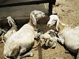 IMG_20200317_120334