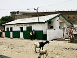 IMG_20200317_120353