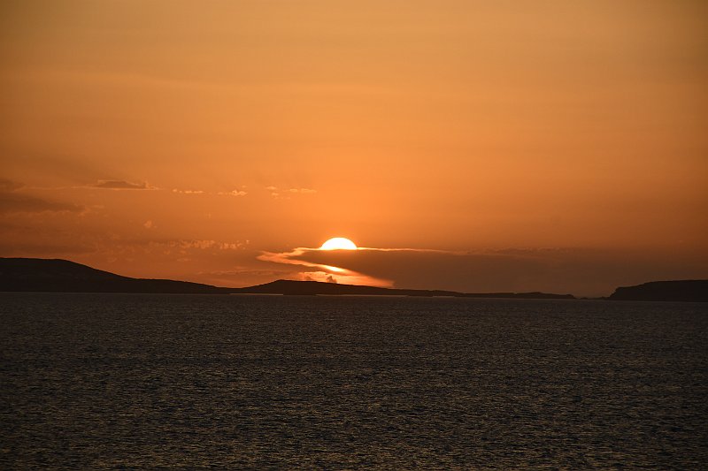 DSC_1687