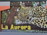 IMG_20221210_162326