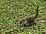 IMG_20221127_103923