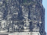 IMG_20221127_113042