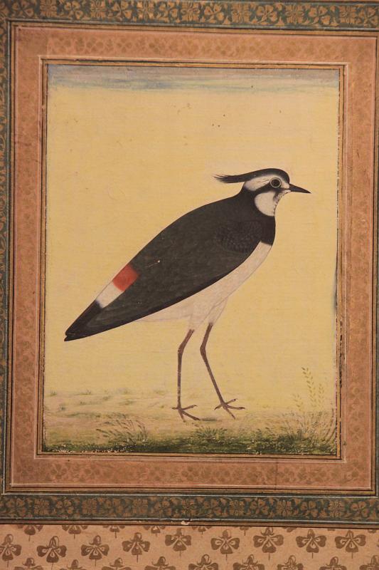 Original image