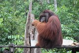 IMG_0538