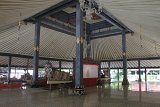 IMG_0241