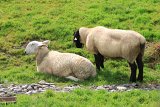 IMG_4865