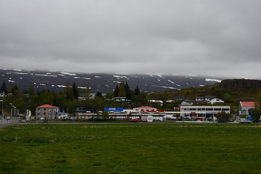 DSC_4518