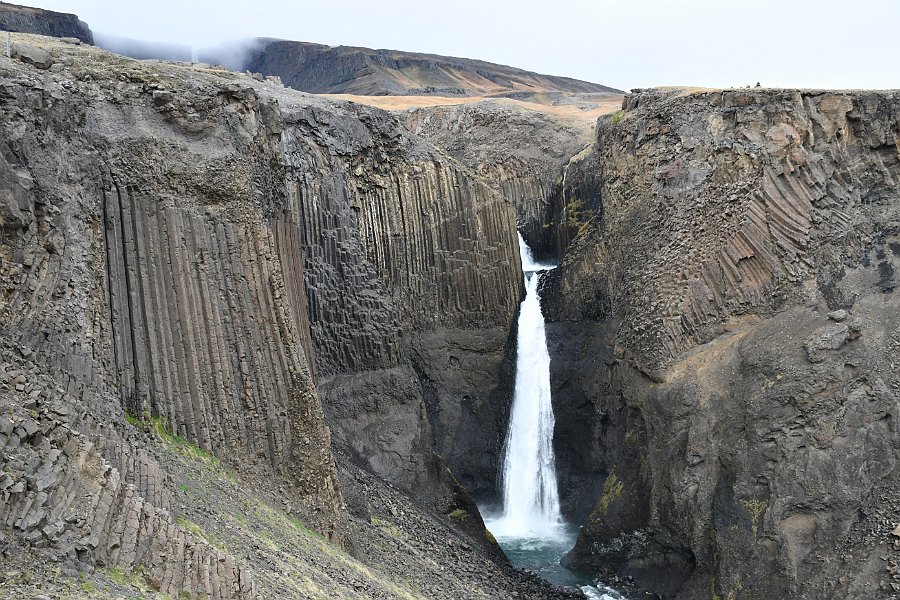 DSC_4525