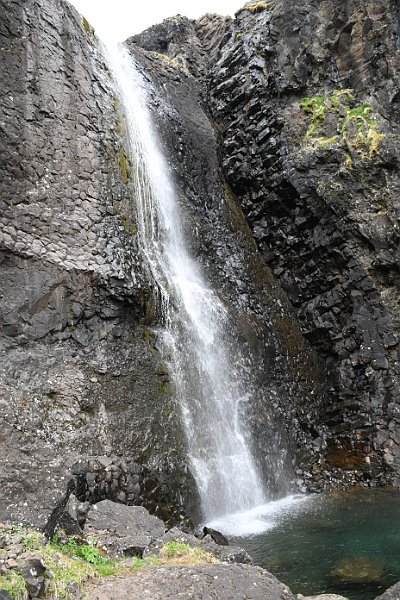 DSC_4538