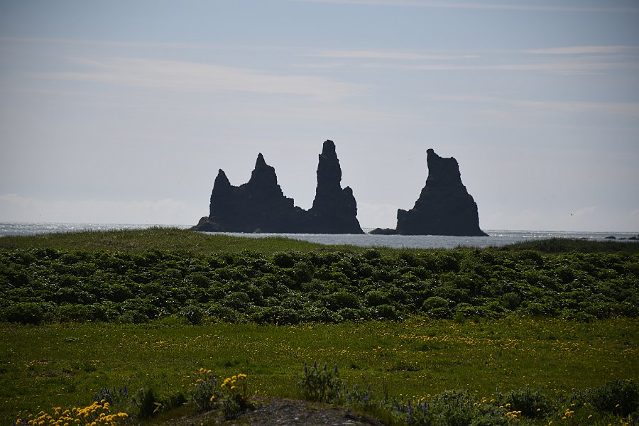 DSC_4591