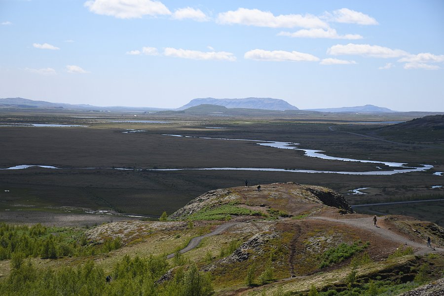 DSC_4638