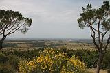 IMG_7913