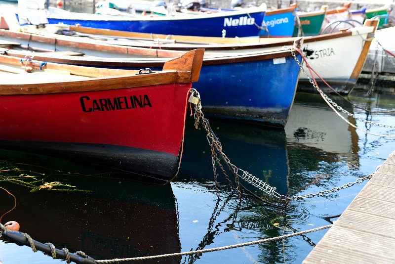 _DSC8377