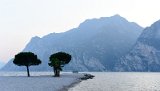 _DSC8139
