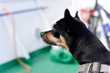 _DSC8587
