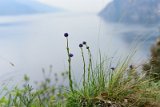 _DSC8618