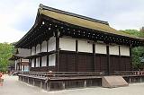 IMG_5817