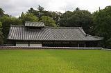 IMG_5879