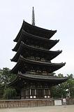 IMG_5894
