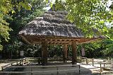 IMG_5933