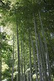 IMG_5943