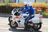 IMG_6523