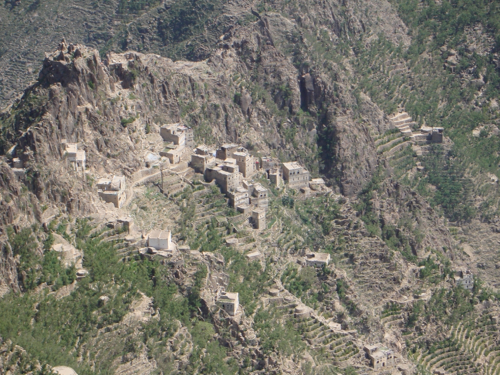 Original image