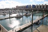 IMG_8739