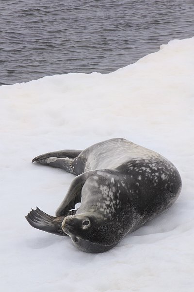 1704