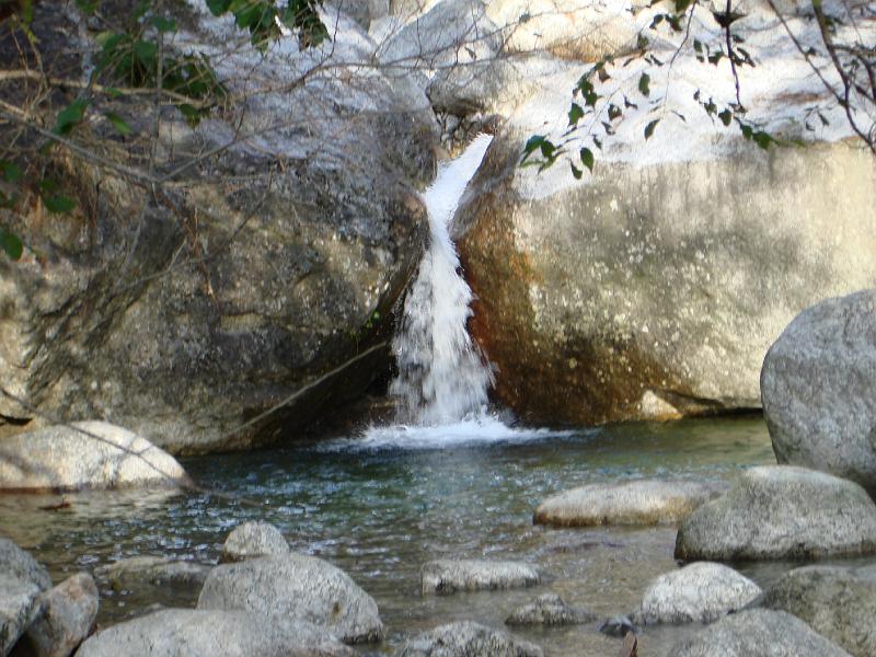 Original image