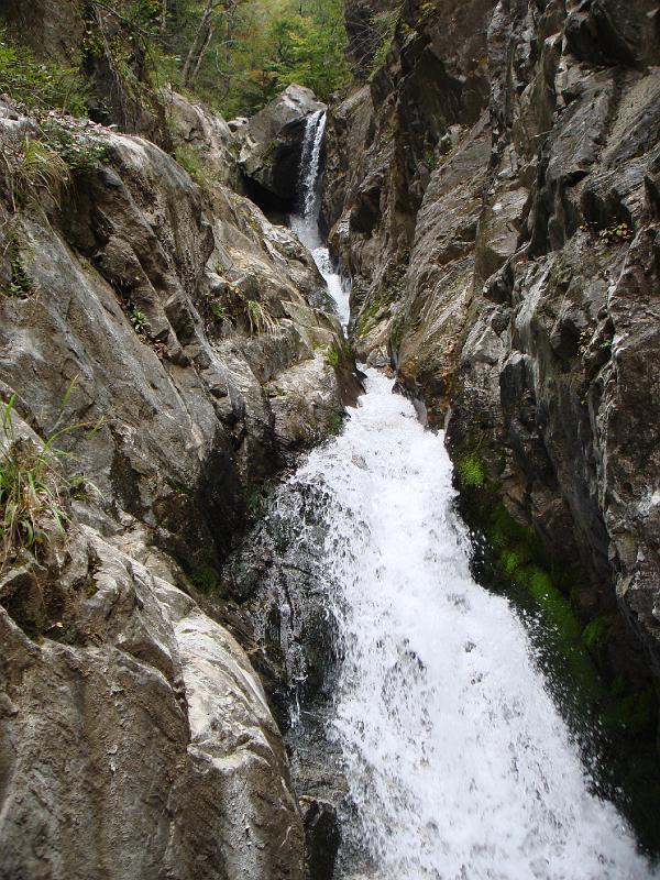 Original image