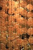 IMG_9934