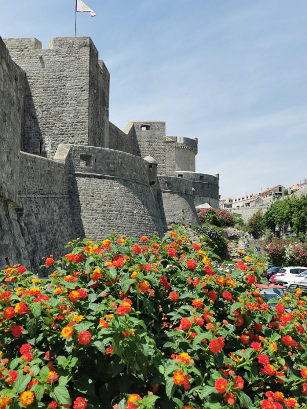 IMG_20210620_124312